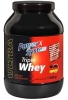 Power System Triple Whey