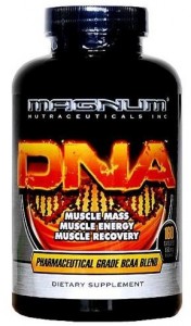 Magnum DNA