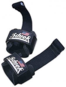 Schiek Dowel Lifting Straps