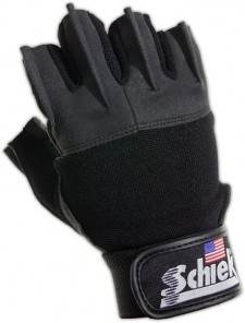 Schiek Platinum Model 530