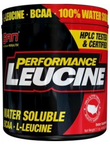 SAN Perfomance Leucine