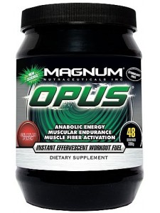 Magnum Opus
