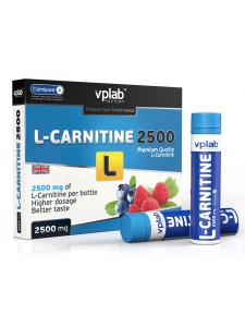 VPLab L-Carnitine Liquid 2500