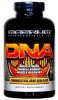 Magnum DNA