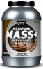 QNT Metapure Mass+ Whey Isolate&Carbs