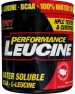 SAN Perfomance Leucine