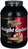 Power System Weight Gainer
