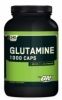 Optimum Nutrition Glutamine 1000 Caps