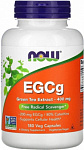 NOW Foods EGCG 400 mg
